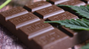 chocolat-cbd